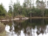 Deer Pond